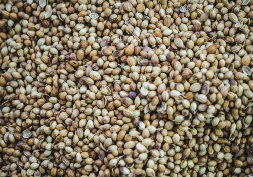 5 Reasons to Include Hemp Seed In Your Diet